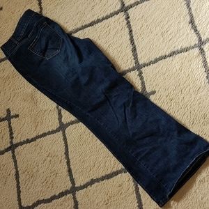 Lane Bryant Bootcut Jeans 20